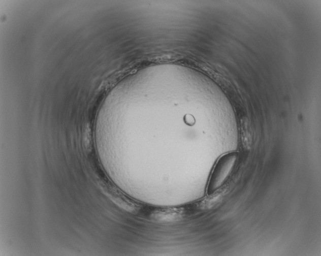 X0000068730563200605262028