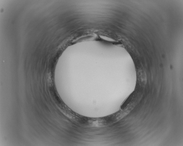 X0000068730564200605262028