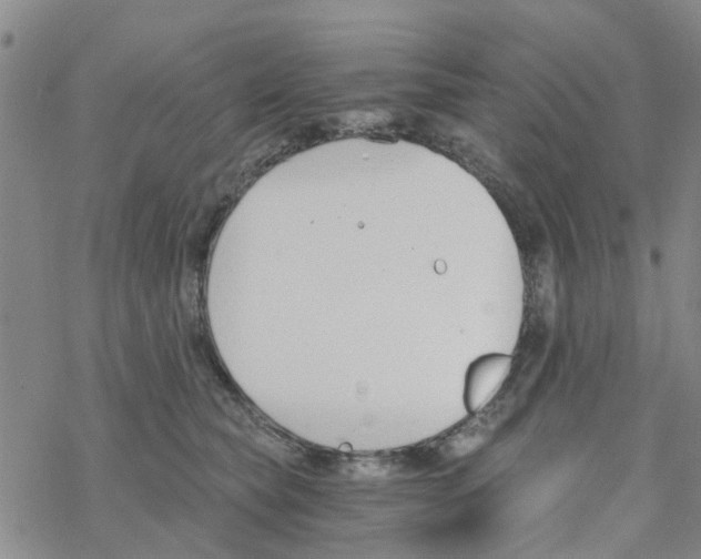 X0000068730565200605262028