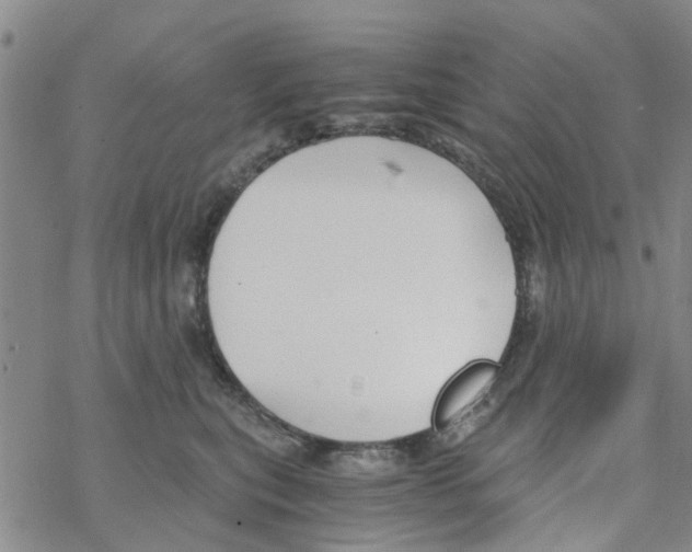 X0000068730567200605262028