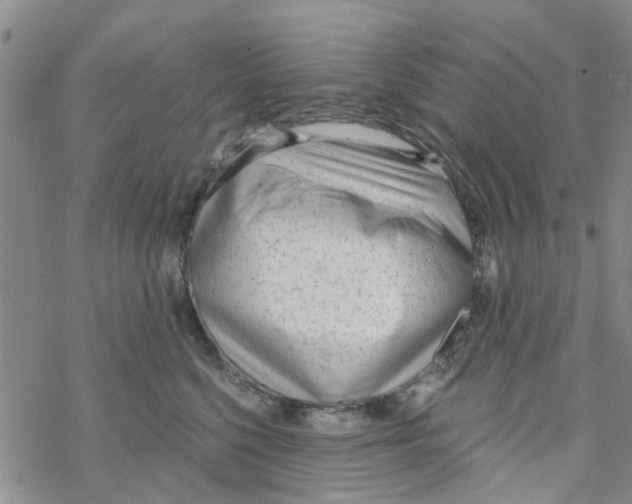 X0000068730568200605262029