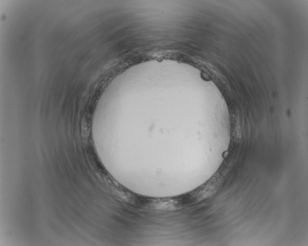 X0000068730569200605262029