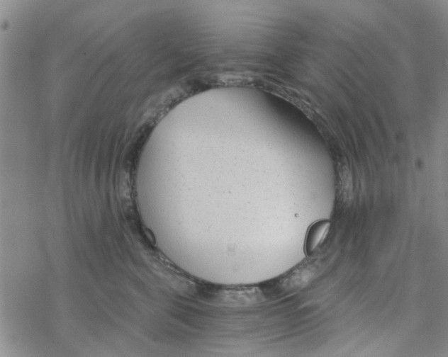 X0000068730571200605262029