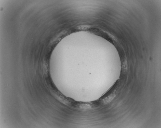 X0000068730572200605262029