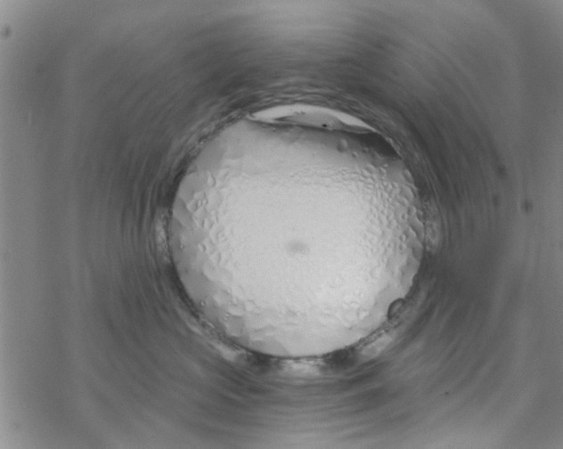 X0000068730573200605262029