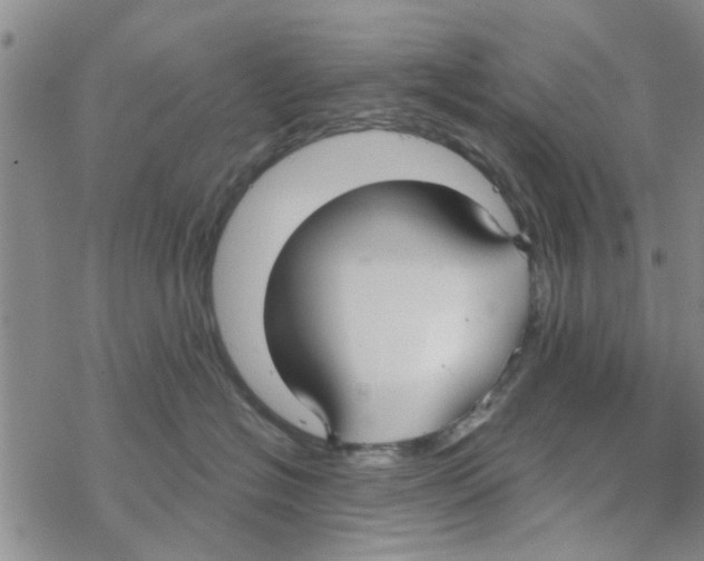 X0000068730574200605262029