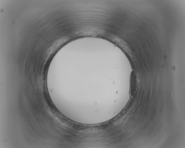 X0000068730578200605262028