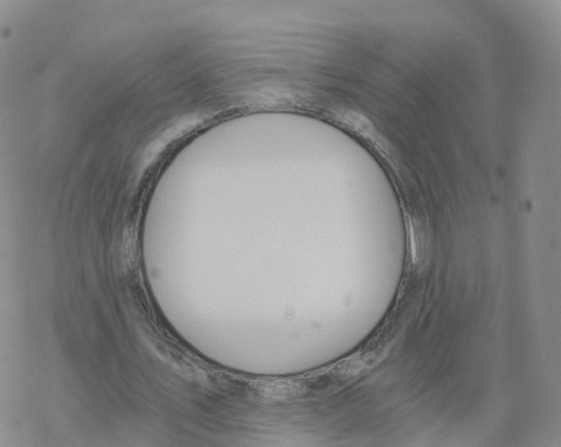 X0000068730579200605262028