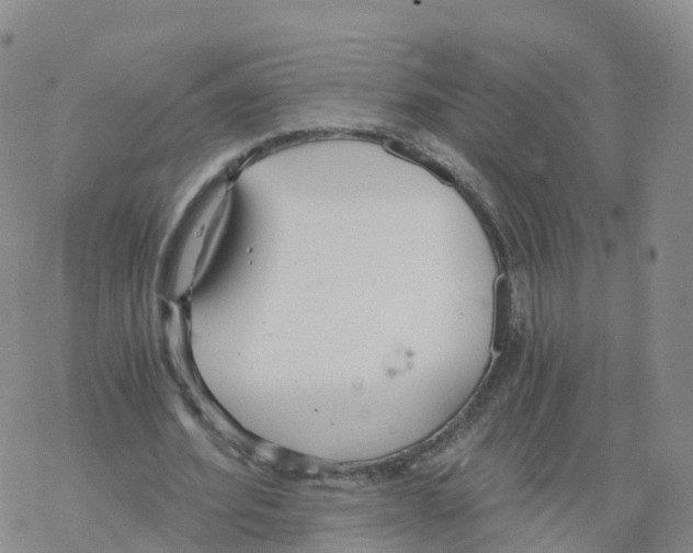 X0000068730580200605262028