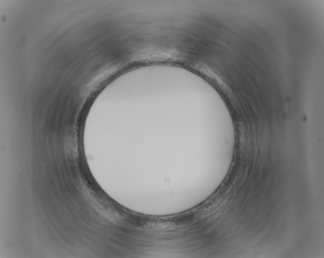 X0000068730582200605262028