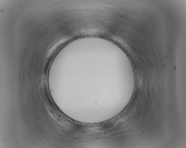 X0000068730583200605262028