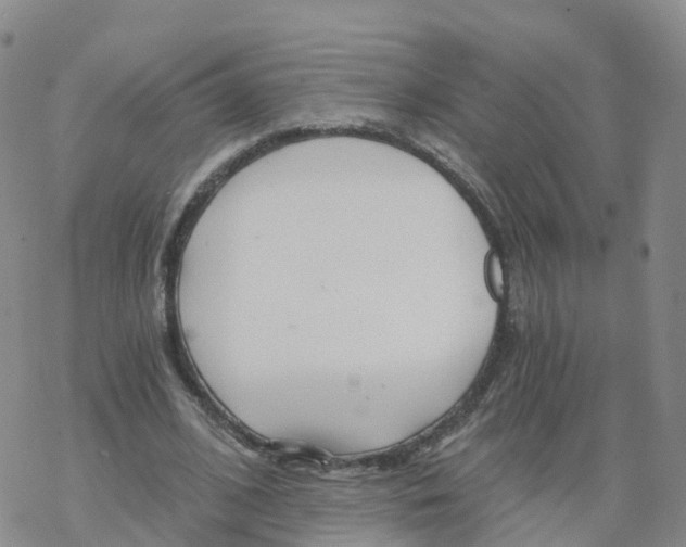 X0000068730584200605262028