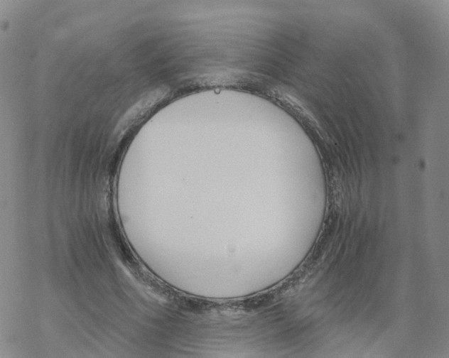 X0000068730586200605262028