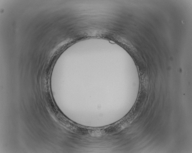 X0000068730587200605262028