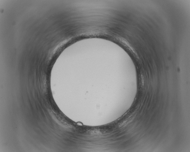 X0000068730588200605262028