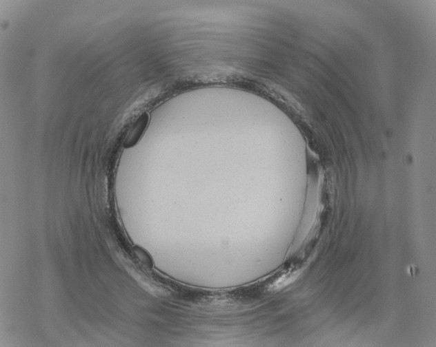 X0000068730589200605262028