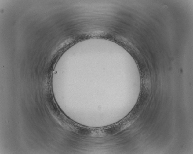 X0000068730591200605262028