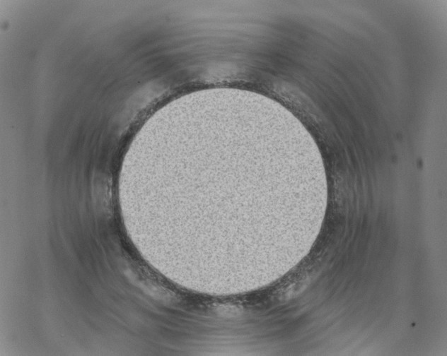 X0000068730592200605262028