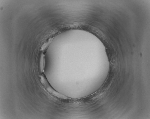 X0000068730593200605262028