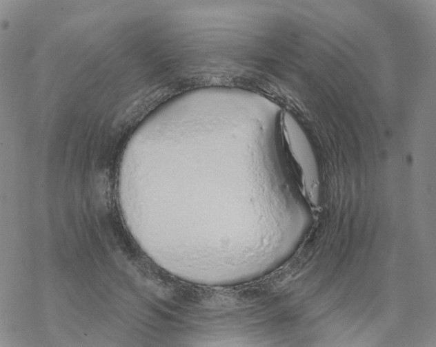 X0000068730594200605262028