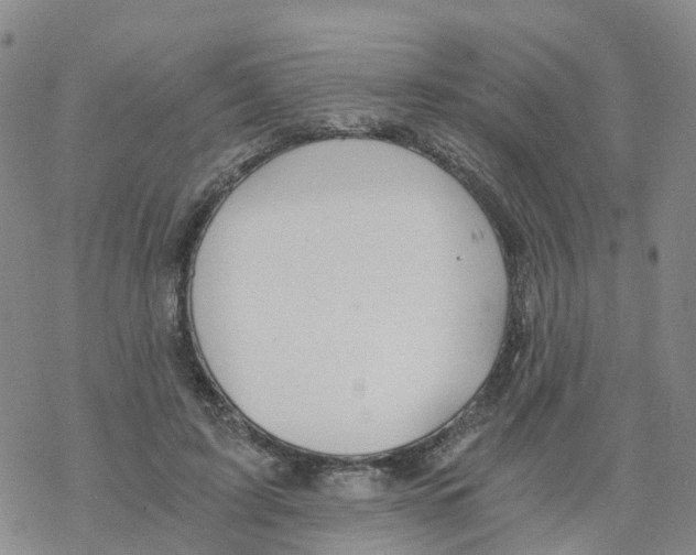 X0000068730595200605262028