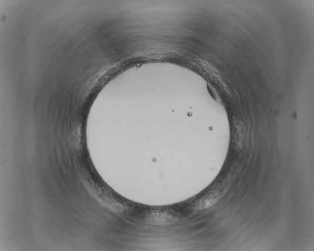 X0000068730596200605262028