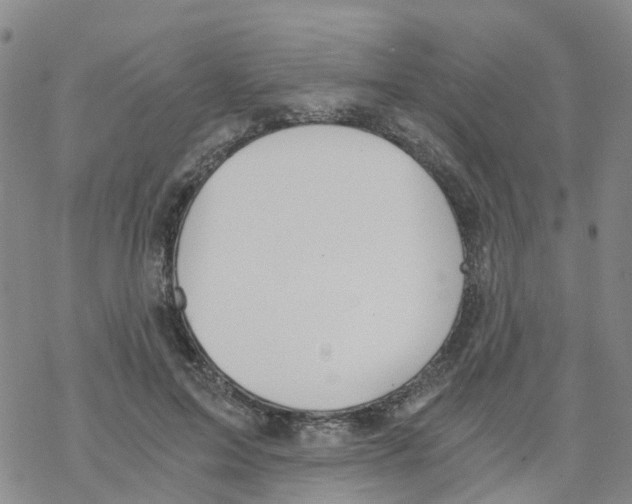 X0000068730599200605262028