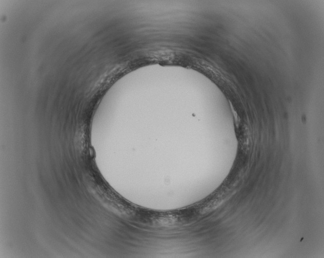 X0000068730600200605262027