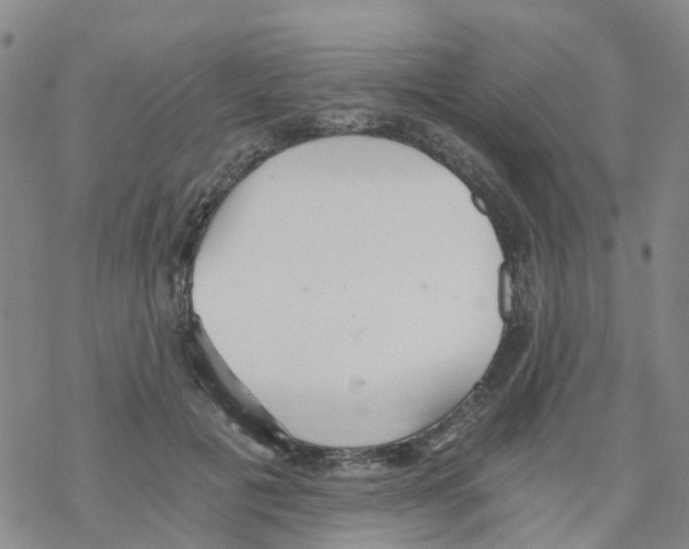 X0000068730601200605262027