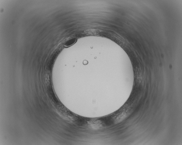 X0000068730603200605262027