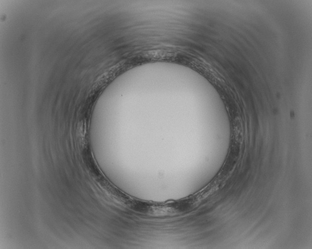 X0000068730605200605262027