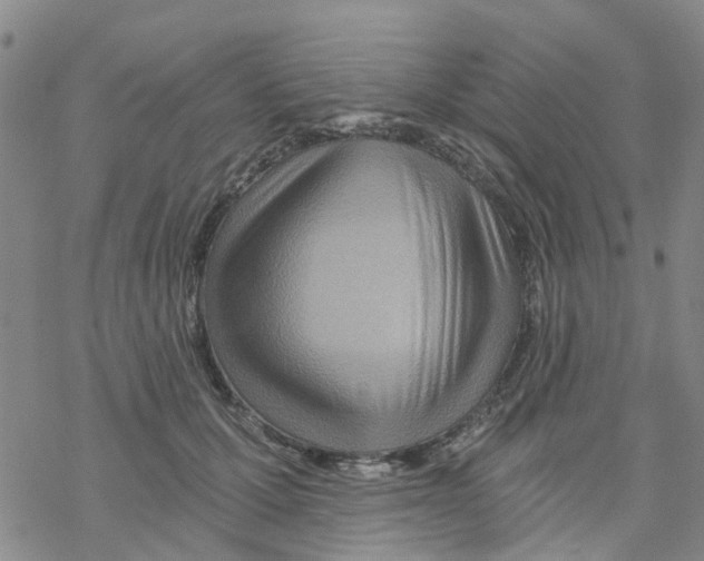 X0000068730607200605262027