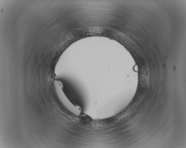 X0000068730608200605262027