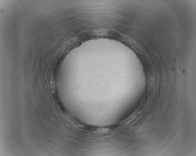 X0000068730609200605262027