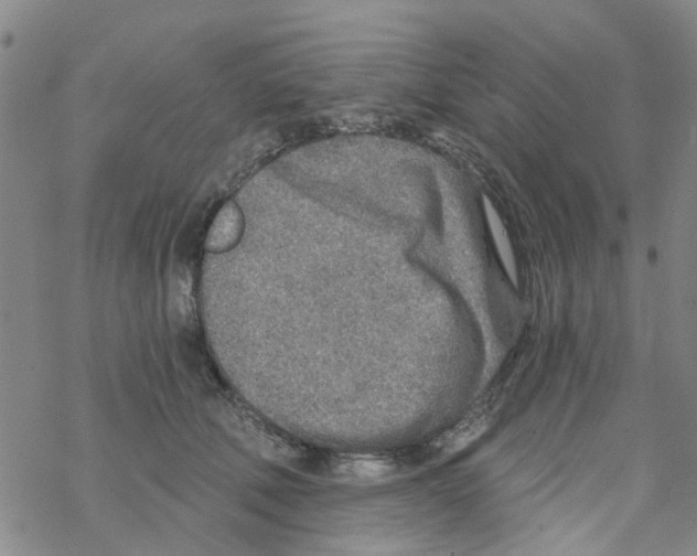 X0000068730610200605262027