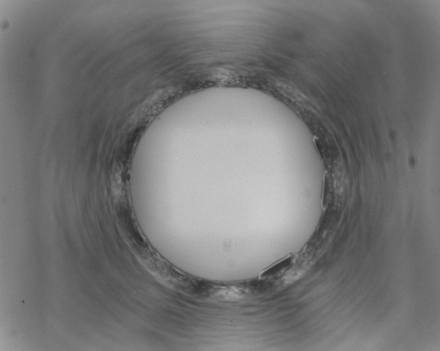 X0000068730611200605262027