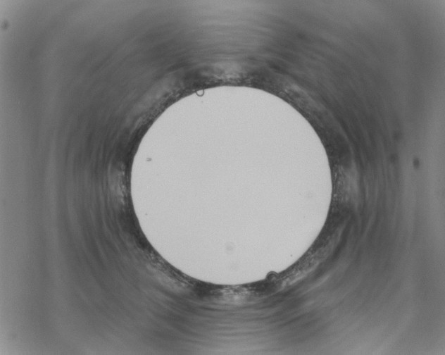 X0000068730612200605262027