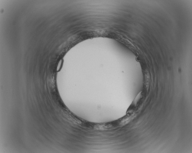 X0000068730613200605262027