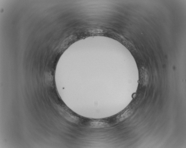 X0000068730614200605262027