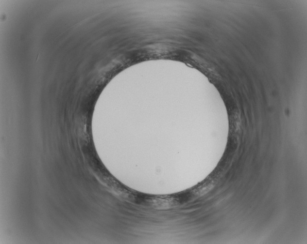 X0000068730615200605262027