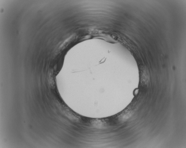 X0000068730616200605262027