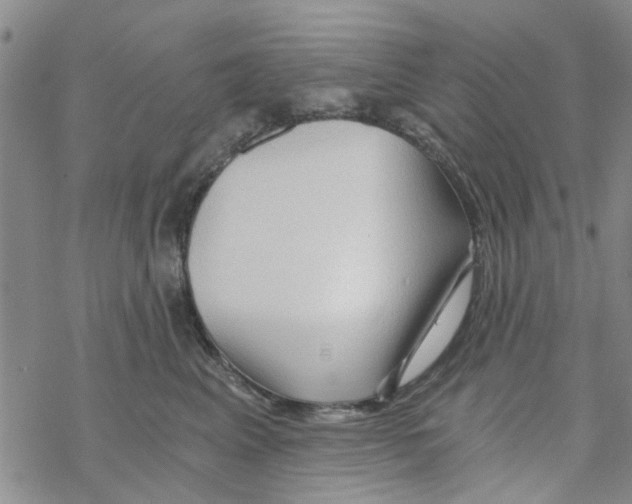 X0000068730617200605262027