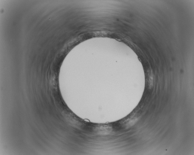 X0000068730619200605262027