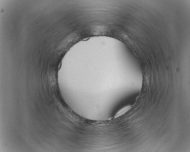 X0000068730620200605262027