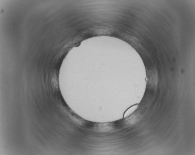 X0000068730622200605262027