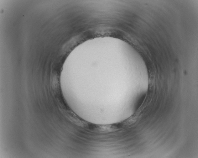 X0000068730623200605262027