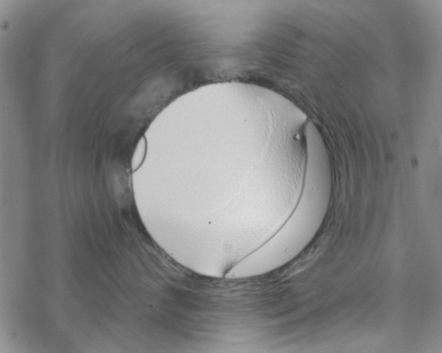 X0000068730624200605262027