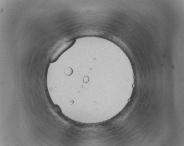 X0000068730625200605262026