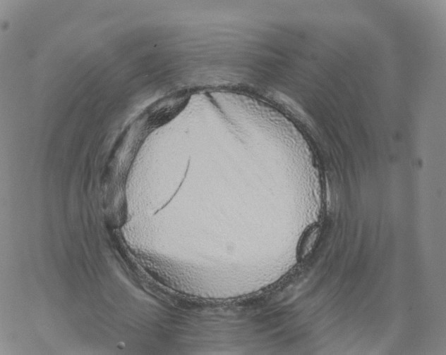 X0000068730627200605262026