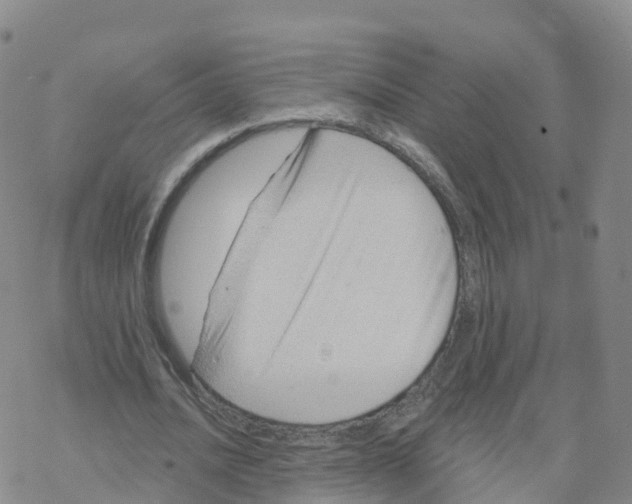 X0000068730628200605262026